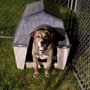 Meet your Posher, Roxanne